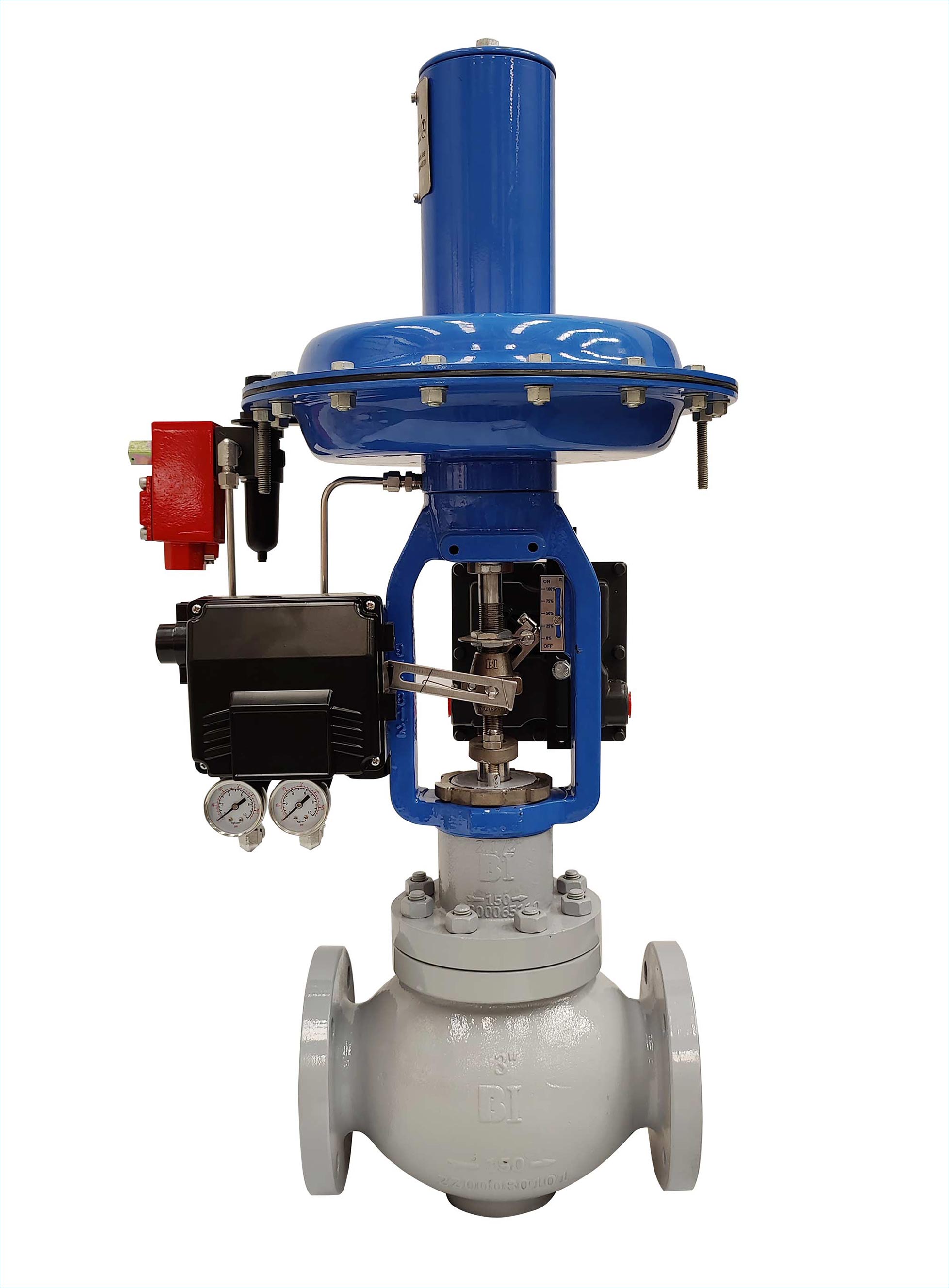 GLOBE 2 WAY CONTROL VALVE